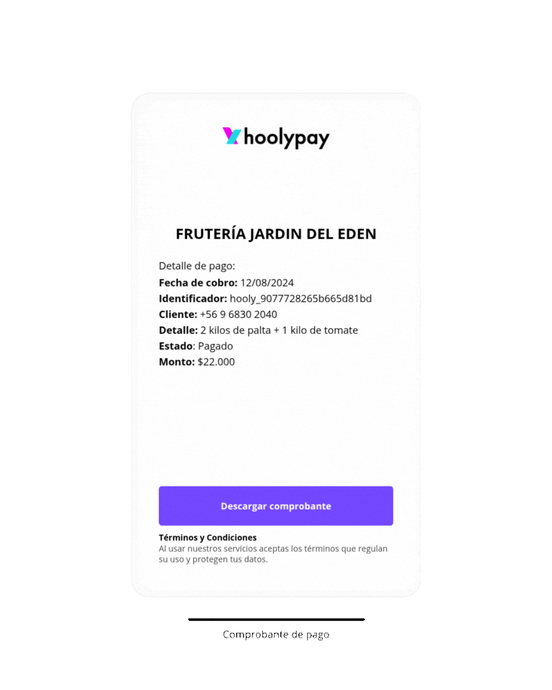 hoolypay - Comprobante de pago