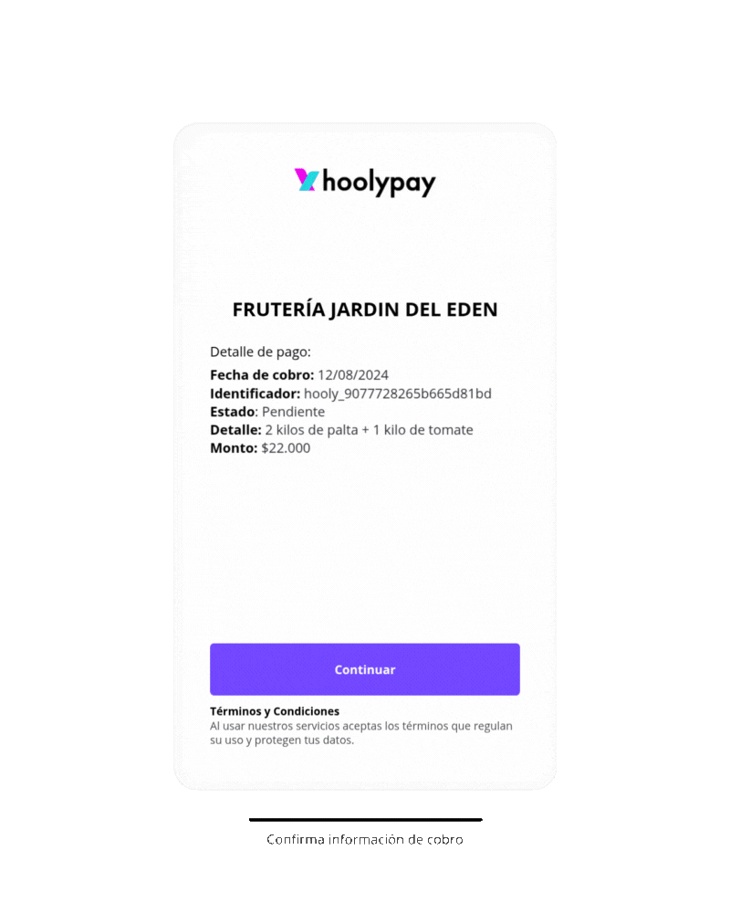 hoolypay - Pago con tu banco_movil